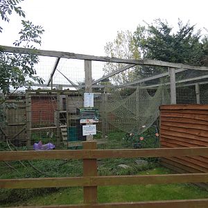 Raccon enclosure