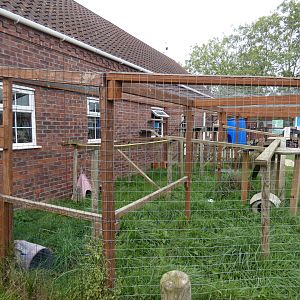 Savannah cat enclosure