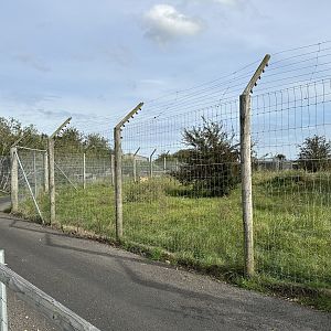 Cheetah Enclosure at Hamerton Zoo Park (October 2023)