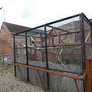 Genet outdoor enclosure