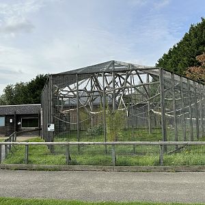 Lar Gibbon Enclosure at Hamerton Zoo Park (October 2023)