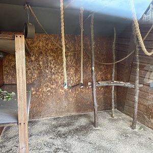 Lar Gibbon Indoor Enclosure at Hamerton Zoo Park (October 2023)