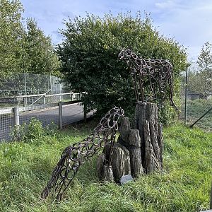 Cheetah Sculptures at Hamerton Zoo Park (October 2023)