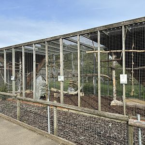 Mixed Parrot Aviary at Hamerton Zoo Park (October 2023)