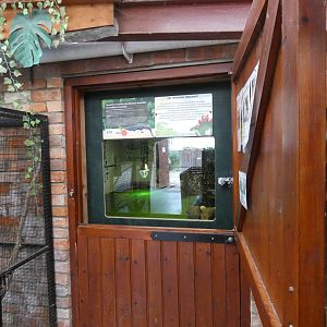 Morelet's crocodile viewing area