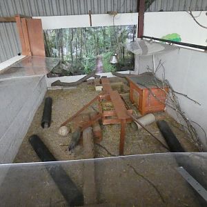 Yellow mongoose and meerkat enclosure