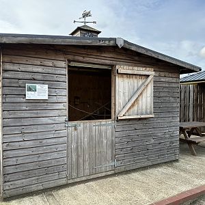 Eurasian Harvest Mouse Enclosure at Hamerton Zoo Park (October 2023)