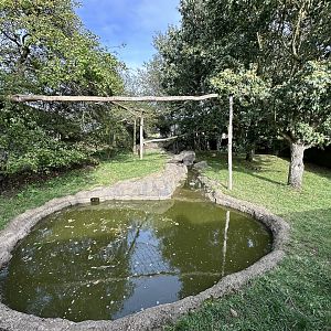 Asian Small-clawed Otter / Binturong Enclosure at Hamerton Zoo Park (October 2023)