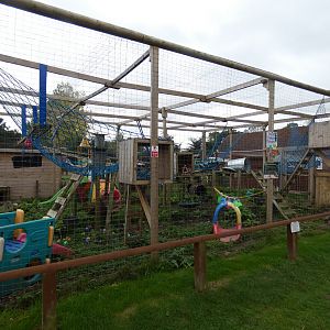 Raccon enclosure "Trash Panda Towers"