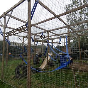 Barbary macaque enclosure