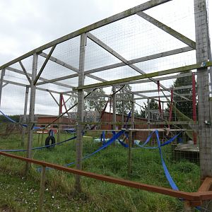 Rhesus macaque enclosure