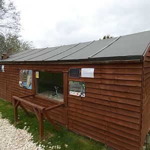 Ring-tailed lemur house