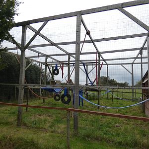 Rhesus macaque enclosure