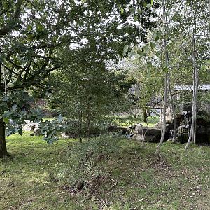 Asian Small-clawed Otter / Binturong Enclosure at Hamerton Zoo Park (October 2023)