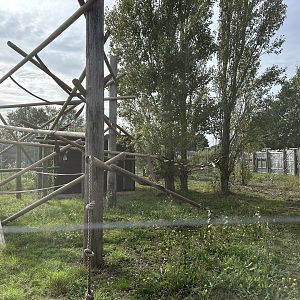 Binturong Enclosure at Hamerton Zoo Park (October 2023)