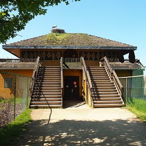 Viewing area for Ostrich and Giraffe/Sable antelope/Ostrich paddocks on top of ostrich barn, 2023-05-19