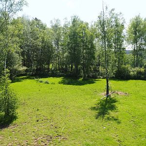 South African ostrich paddock, 2023-05-19