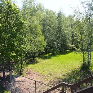 South African ostrich paddock, 2023-05-19