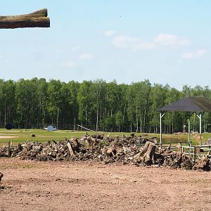 African drive-through safari seen from the viewing area on the ostrich barn, 2023-05-19