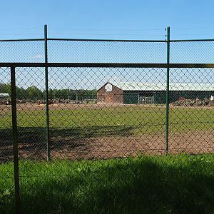Northern giraffe, South African ostrich and Black sable antelope paddock, 2023-05-19