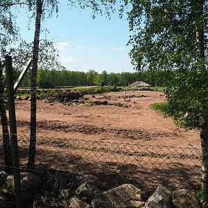 Southern white rhinoceros and Warthog paddock, 2023-05-19