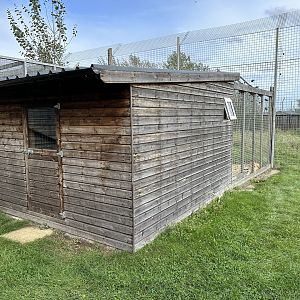 Dingo House at Hamerton Zoo Park (October 2023)