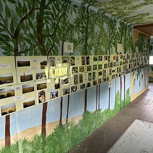 Zoo Timeline at Hamerton Zoo Park (October 2023)