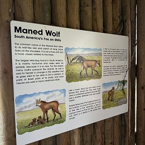 Maned Wolf Signage at Hamerton Zoo Park (October 2023)