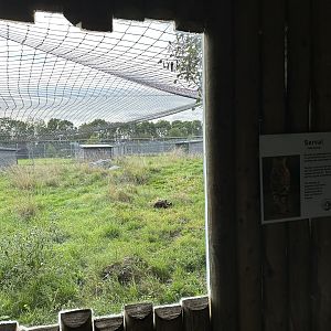 Serval Enclosure at Hamerton Zoo Park (October 2023)