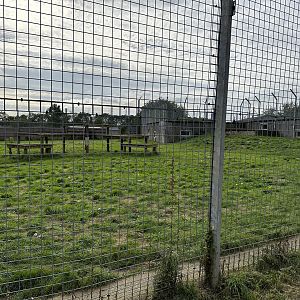 Tiger Enclosure at Hamerton Zoo Park (October 2023)