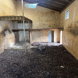 Tiger Indoor Enclosure at Hamerton Zoo Park (October 2023)