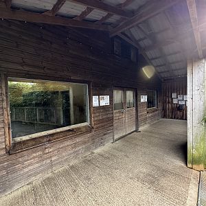 Tiger House Viewing Area at Hamerton Zoo Park (October 2023)