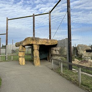 Tiger Falls at Hamerton Zoo Park (October 2023)