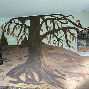 Tiger Conservation Signage at Hamerton Zoo Park (October 2023)