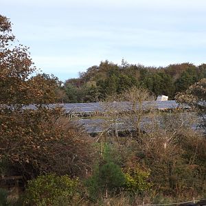 Solar Panel Field