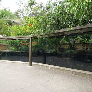 Huge Dwarf Crocodile/Turtle Exhibit