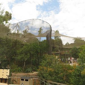 Acacia Woodland Aviary