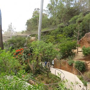 Acacia Woodland Aviary