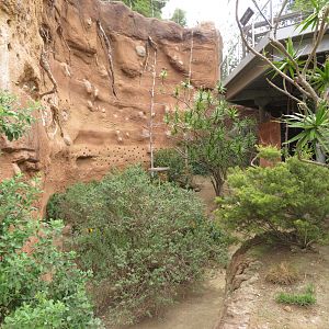 Acacia Woodland Aviary Floor
