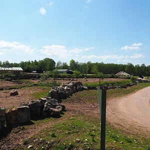 Southern white rhinoceros and Warthog paddock,  2023-05-19