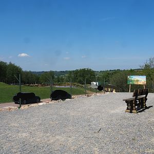 Walking section viewing area for African drive-through safari exhibit, 2023-05-19