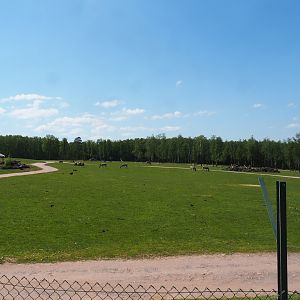 African drive-through safari exhibit seen from the walking section, 2023-05-19