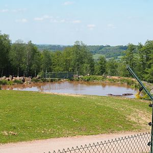 African drive-through safari exhibit - Separated hippopotamus pond seen from the walking section, 2023-05-19