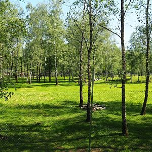 Emu, Eastern grey kangaroo, Red kangaroo and Red-necked wallaby paddock, 2023-05-19