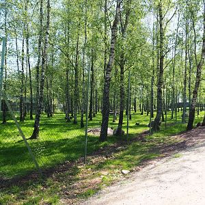 Emu, Eastern grey kangaroo, Red kangaroo and Red-necked wallaby paddock, 2023-05-19