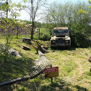 African theming in the predator area, 2023-05-19