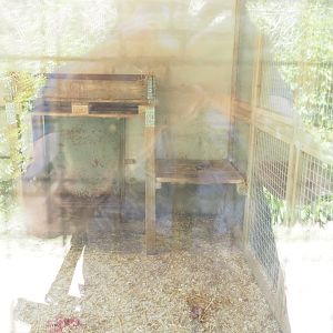 Example of South African cheetah indoor stall, 2023-05-19