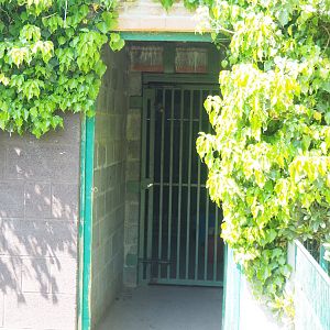 Open door of one of the cat holding buildings, 2023-05-19