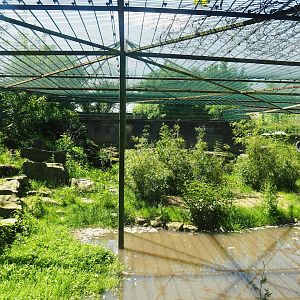 First Amur leopard exhibit (Former tiger exhibit), 2023-05-19