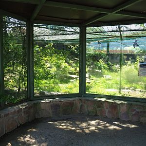 Amur leopard viewing area, 2023-05-19